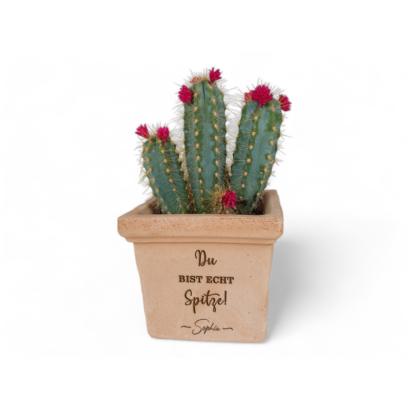 KAKTUS BLUMENTOPF TERRACOTTA Spitze! Geschenk zum Geburtstag Freundschaft  Danke Mama Muttertag Pflanztopf Personalisiert Lustig