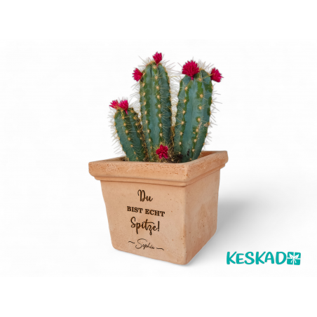 KAKTUS BLUMENTOPF TERRACOTTA Spitze! Geschenk zum Geburtstag Freundschaft Danke Mama Muttertag Pflanztopf Personalisiert Lustig